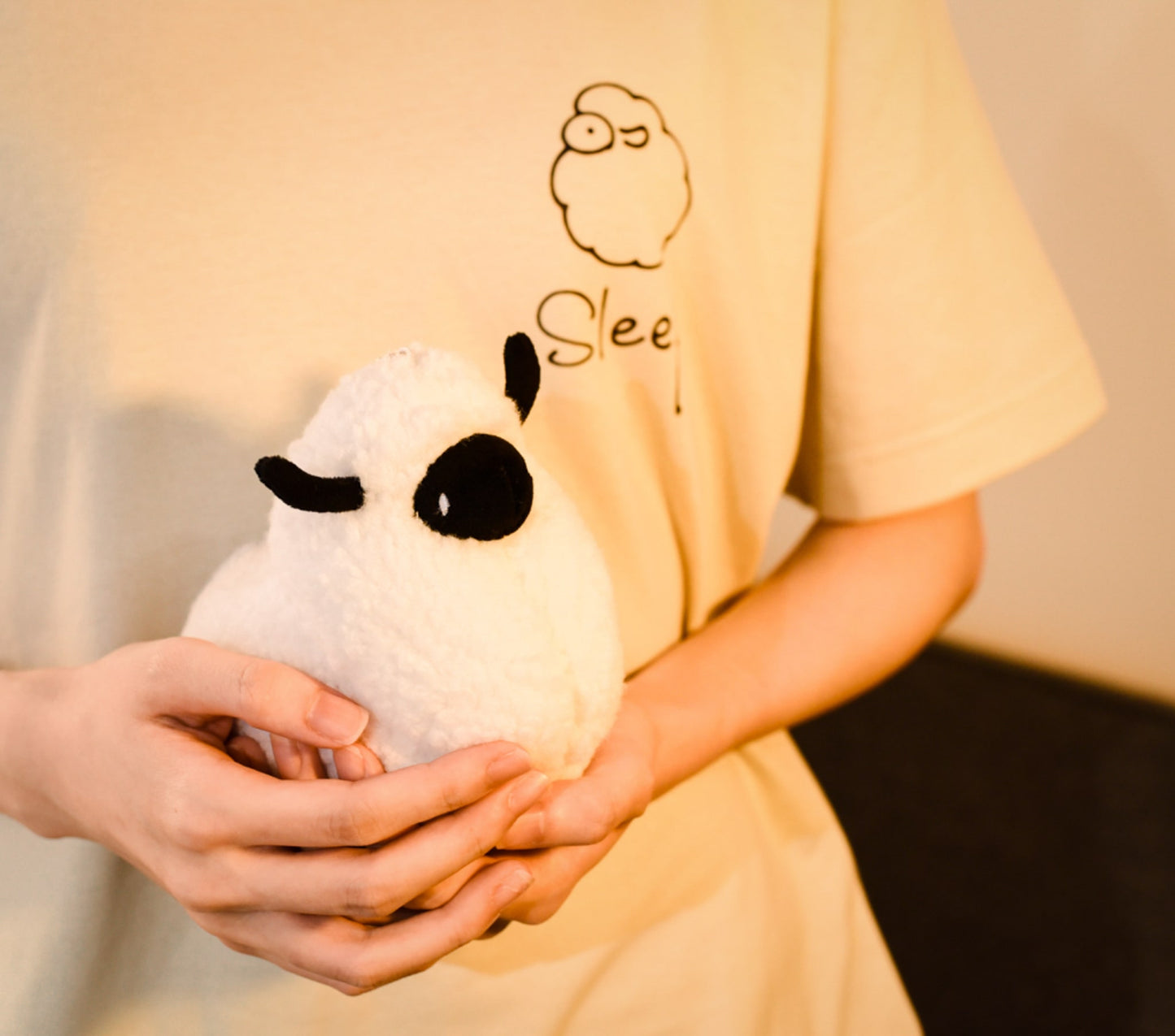 ぬいぐるみとTシャツセット(わたひつじ)